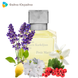 Maison Francis Kurkdjian Petit Matin EDP