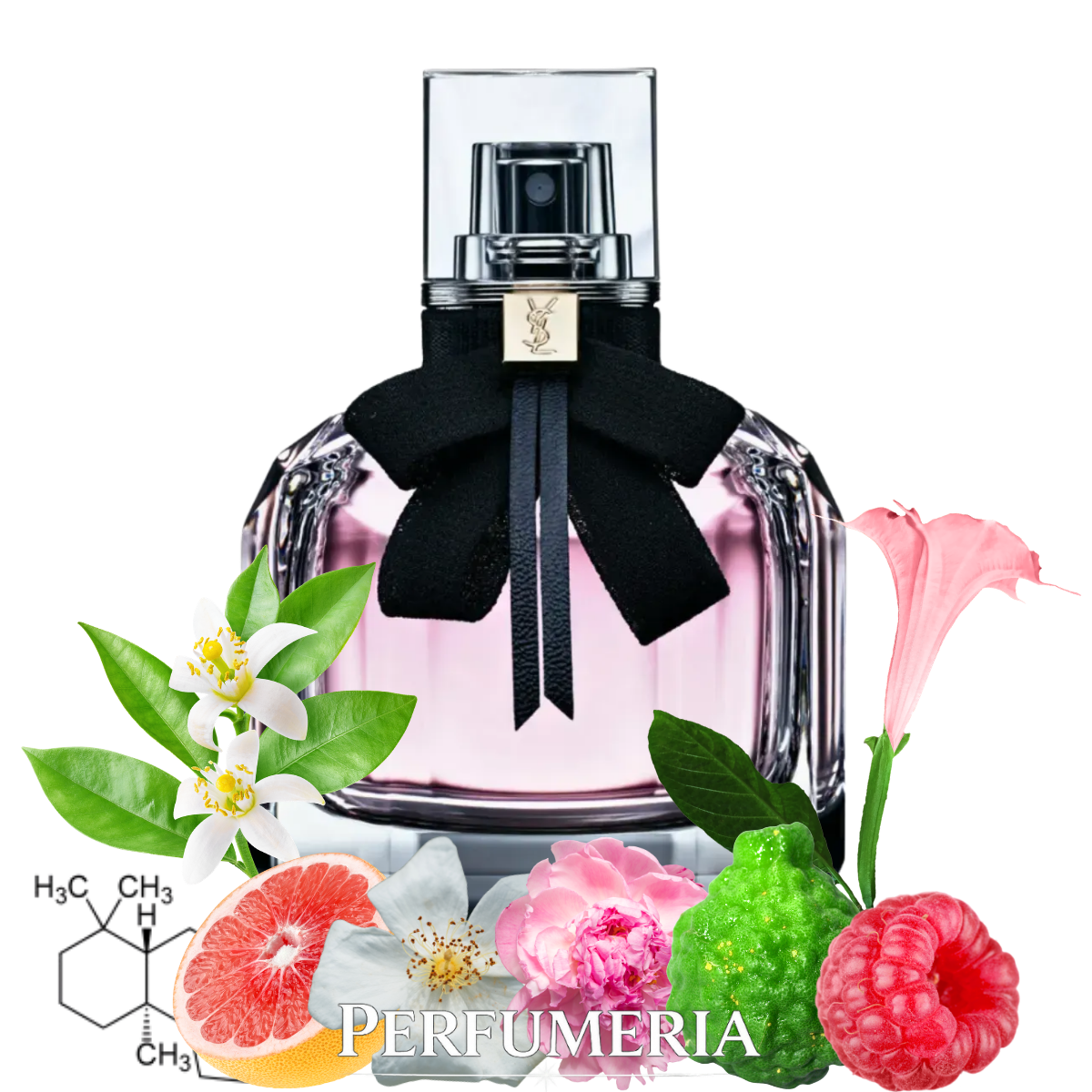 Yves Saint Laurent Mon Paris купити на розпив від 1 мл - Perfumeria